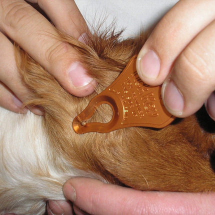 Easy, fast, clean, and complete tick removal!