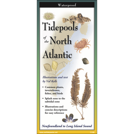 Cover image of Tidepools of the North Atlantic folding guide with illustrations of common plants, invertebrates, fishes, and birds found in cold water tidepools against a map of the coast from the Long Island Sound up to Newfoundland