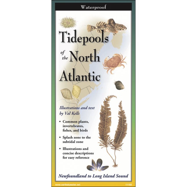 Cover image of Tidepools of the North Atlantic folding guide with illustrations of common plants, invertebrates, fishes, and birds found in cold water tidepools against a map of the coast from the Long Island Sound up to Newfoundland