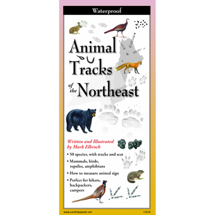 Cover of the folding guide titled 'Animal Tracks of the Northeast,' featuring illustrations of various animal tracks on a tan background with paw prints and guide title