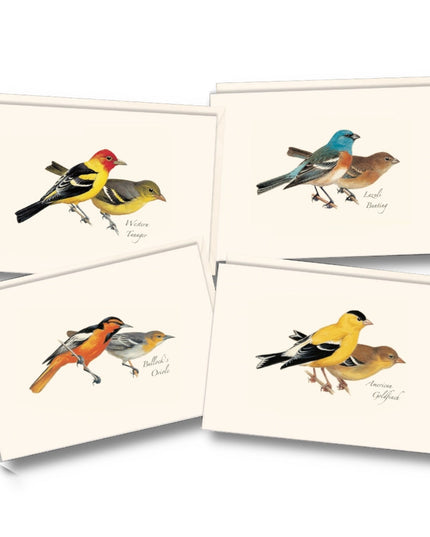 the four notecards in the peterson western bird notecard assortment