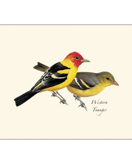 a close up of the art on one of the notecards featuring an illustration of a male and female western tanger