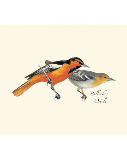 a close up of the art on one of the notecards featuring an illustration of a male and female Bullock's Oriole