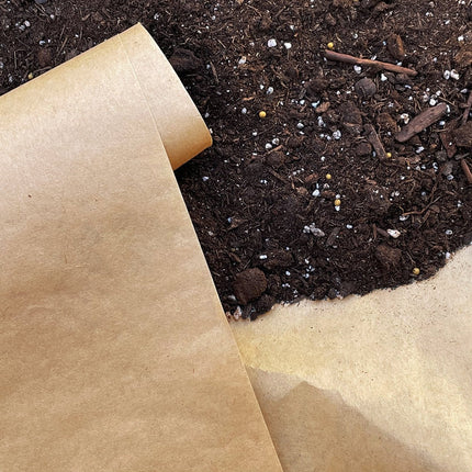 Paper under mulch