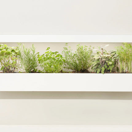 Smart Led Light Landscape Growframe