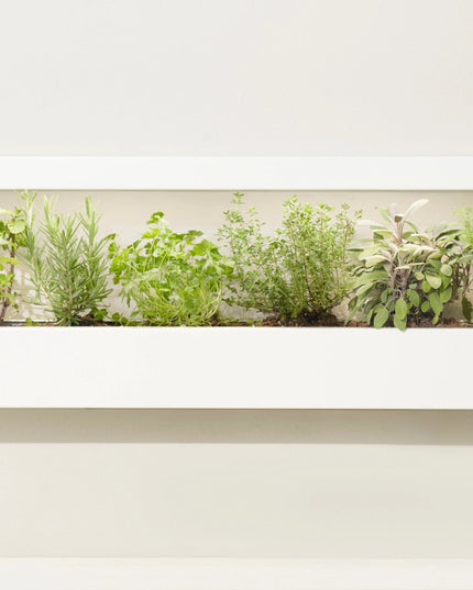 Smart Led Light Landscape Growframe